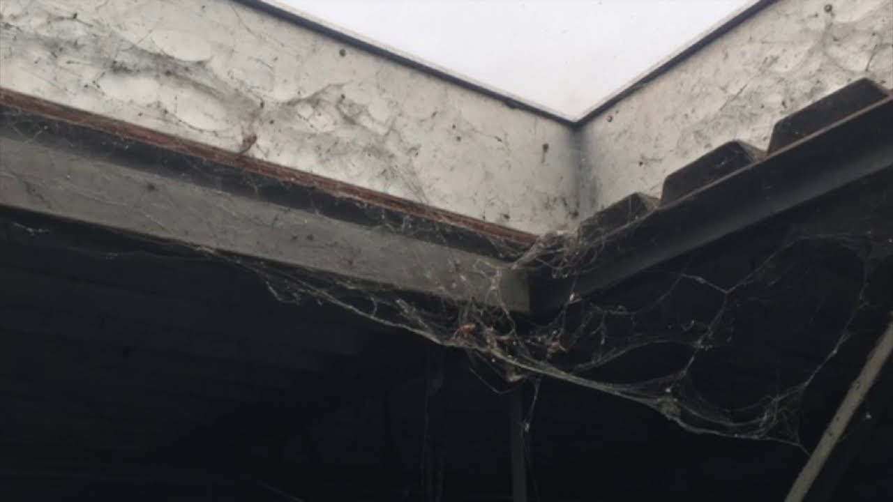 Warehouse Rafter Cleaning