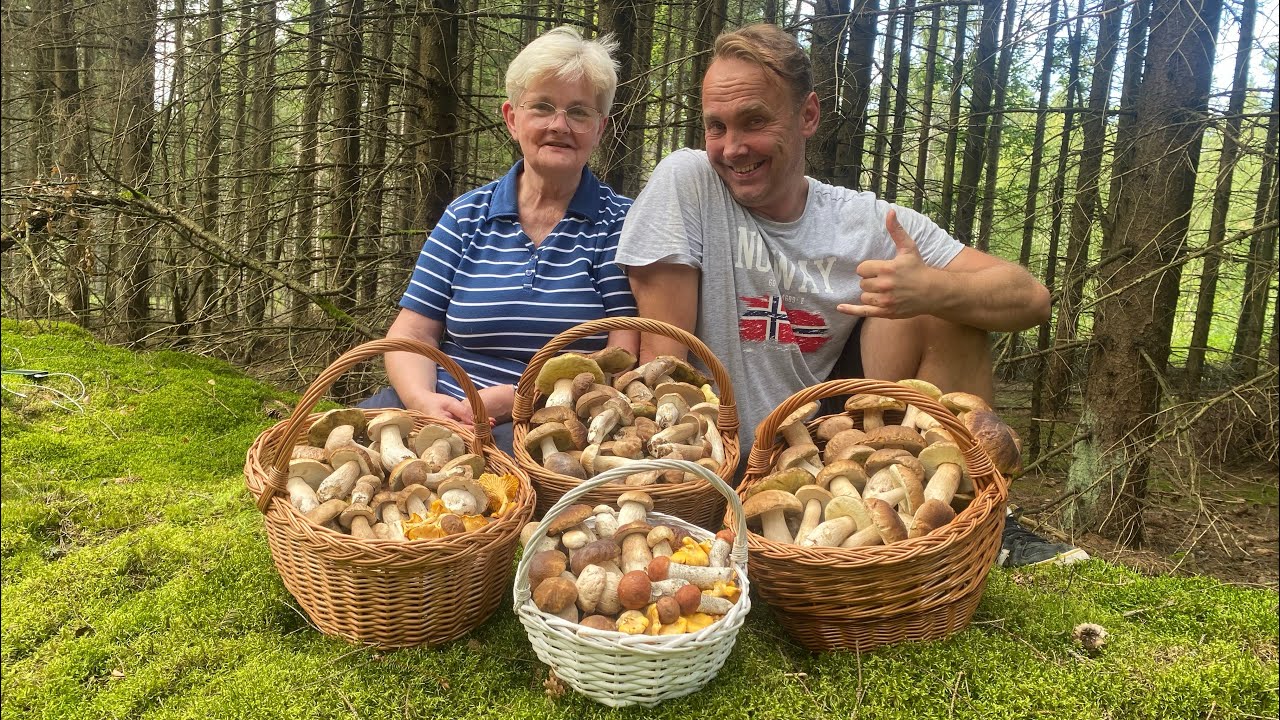 Wrześniowy wysyp borowików. Super grzybobranie z Anią cz.1. Grzyby 2024