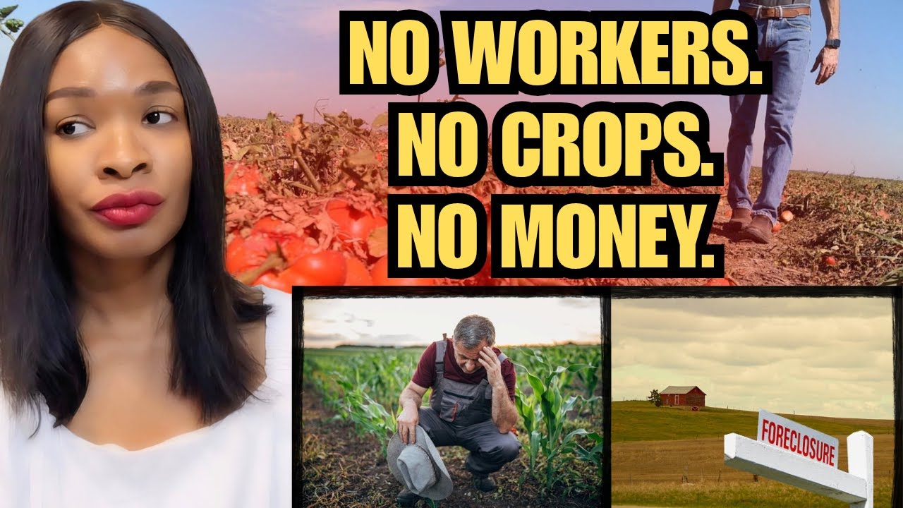 They Voted for Trump… Now Their Farms Are COLLAPSING 😳