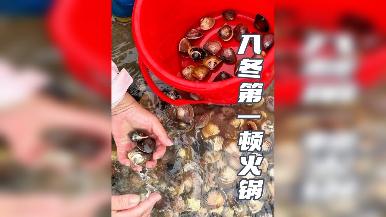 中国速度，一夜入冬，入冬的第一顿海鲜火锅，安排