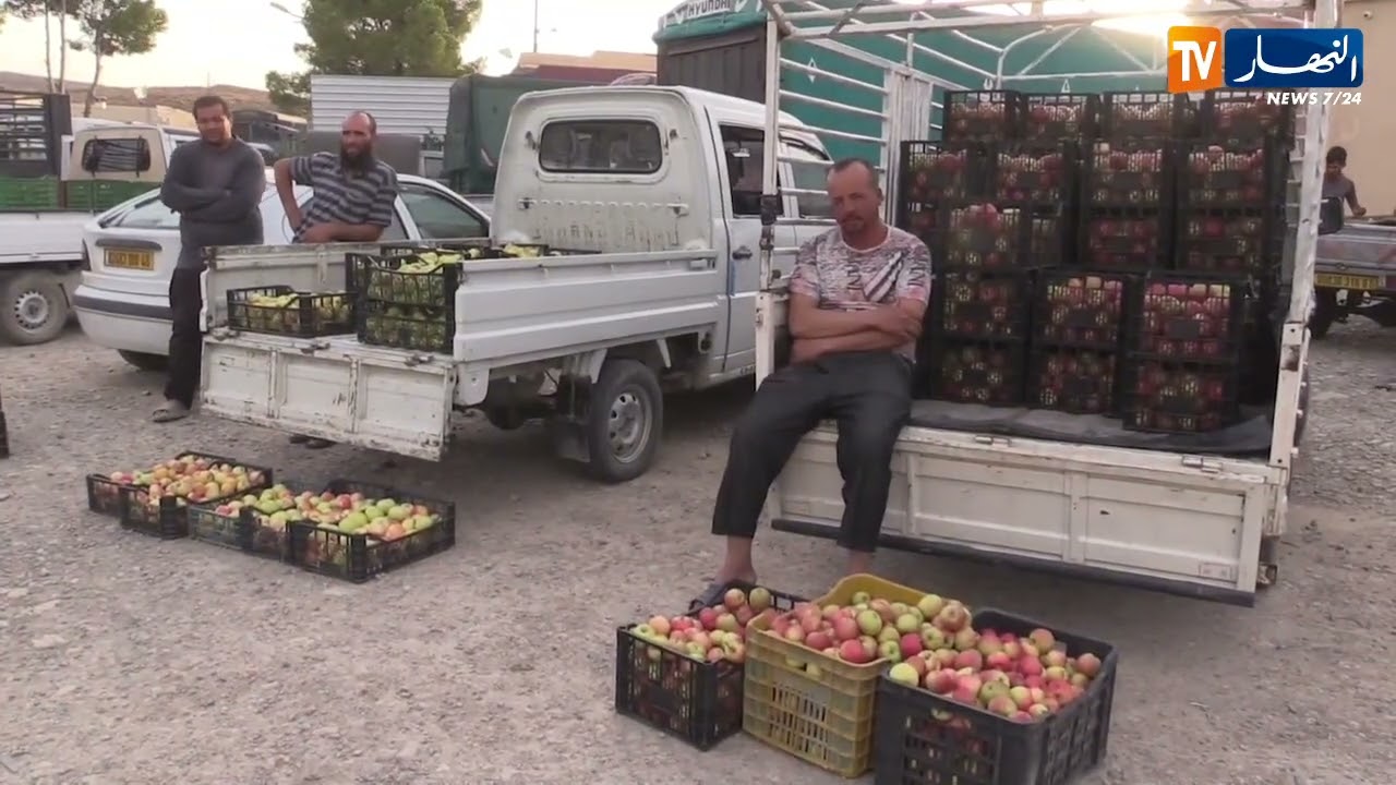خنشلة : تفاح رويال يسبق أوانه في خيران   وفرة في المنتوج و ركود في البيع