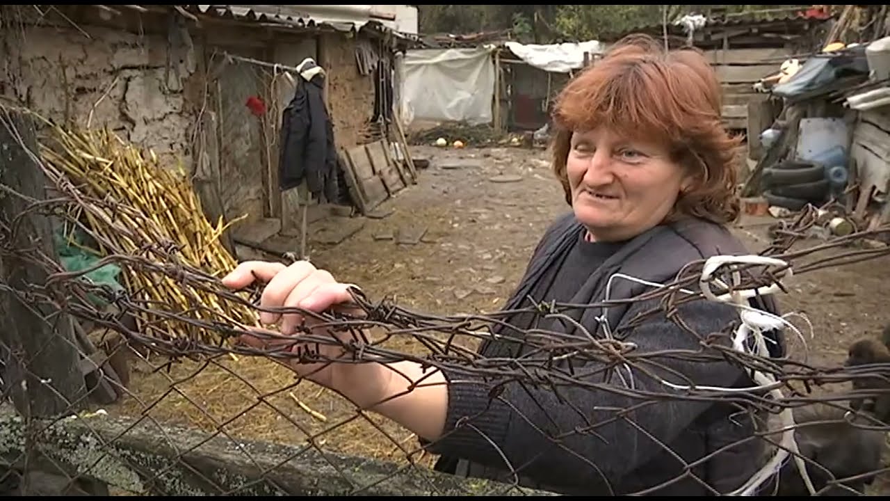 Pravo na sutra: Hronično vanredno stanje