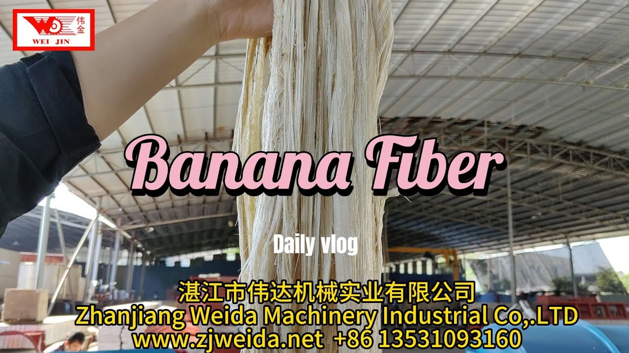 🔧 Diesel-Power Banana Fiber Decorticator & Brushing Machine special for Small Workshops no electric