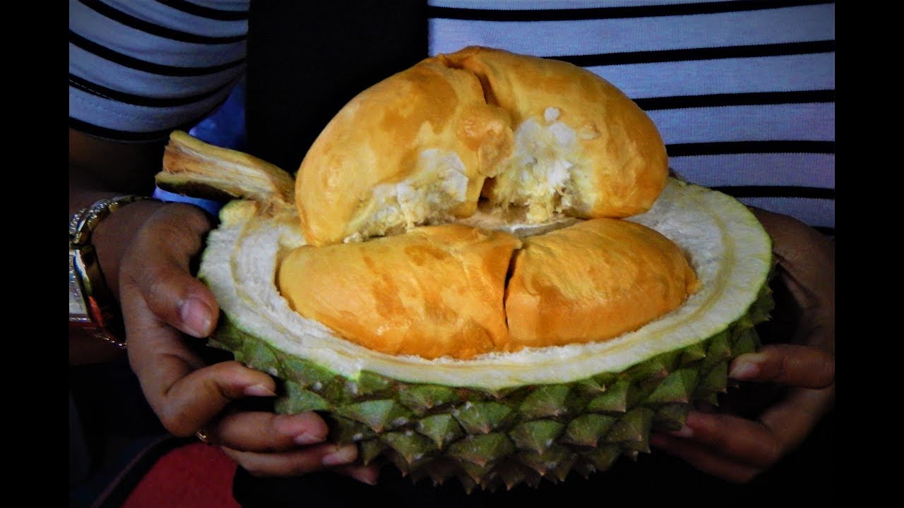 Durian Ochee (Makan) SERIUS TERENAK!!! BIBIT DURI HITAM