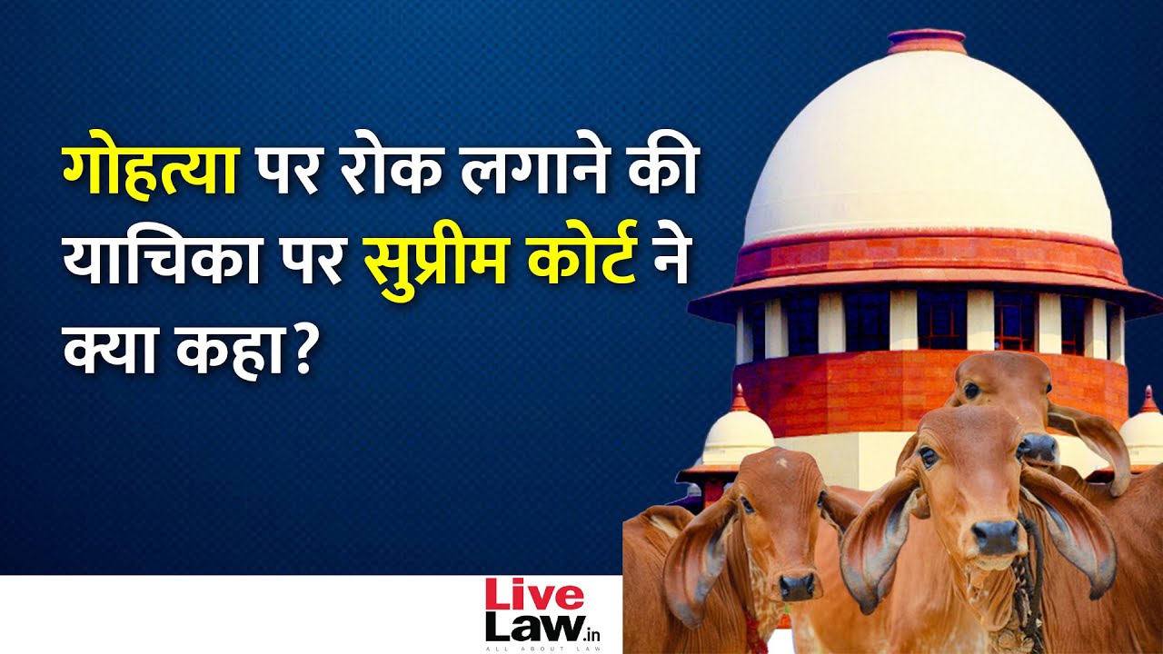 Prohibition Of Cow Slaughter To Be Decided By Legislature, Court Can't Compel Law Making : SC