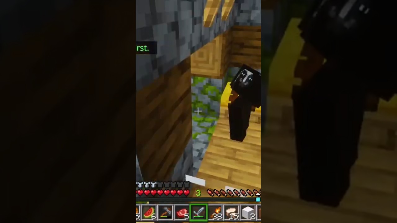 chciałem tylko splądrować wioskę #minecraft #minecrafthorror #horror #śmieszne