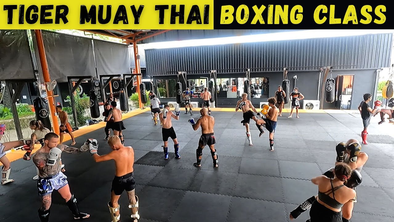 WESTERN BOXING at Tiger Muay Thai (Day 5) | SE03E45
