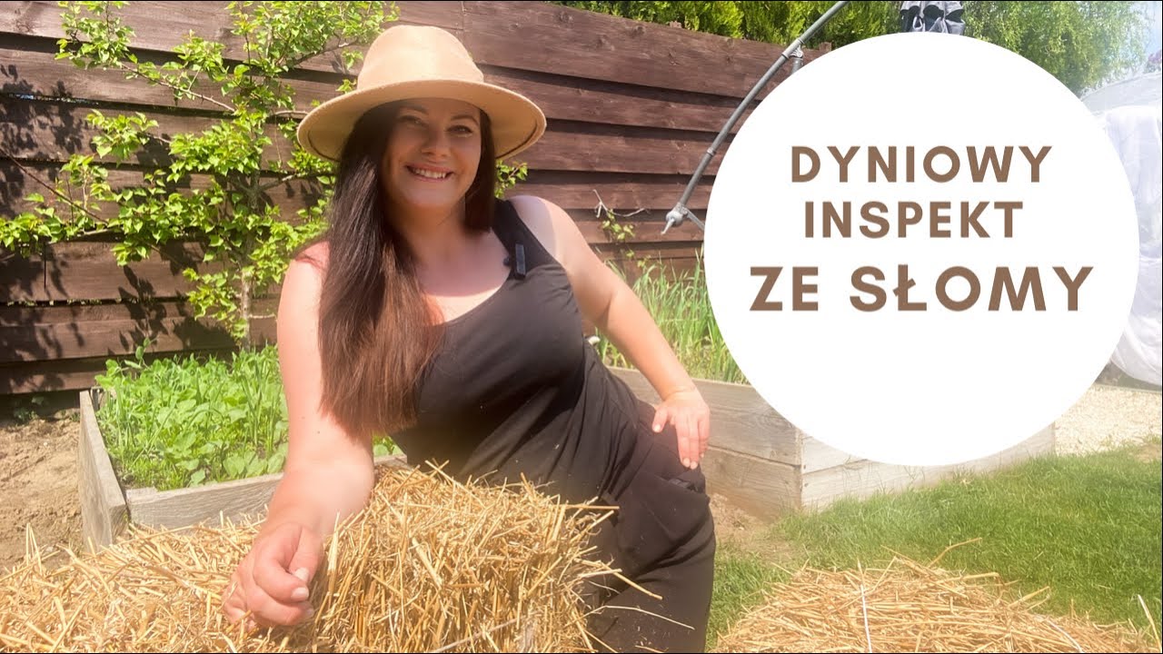 Dyniowy inspekt ze słomy. Jak zrobić naturalny inspekt na warzywa. Uprawa dyni.