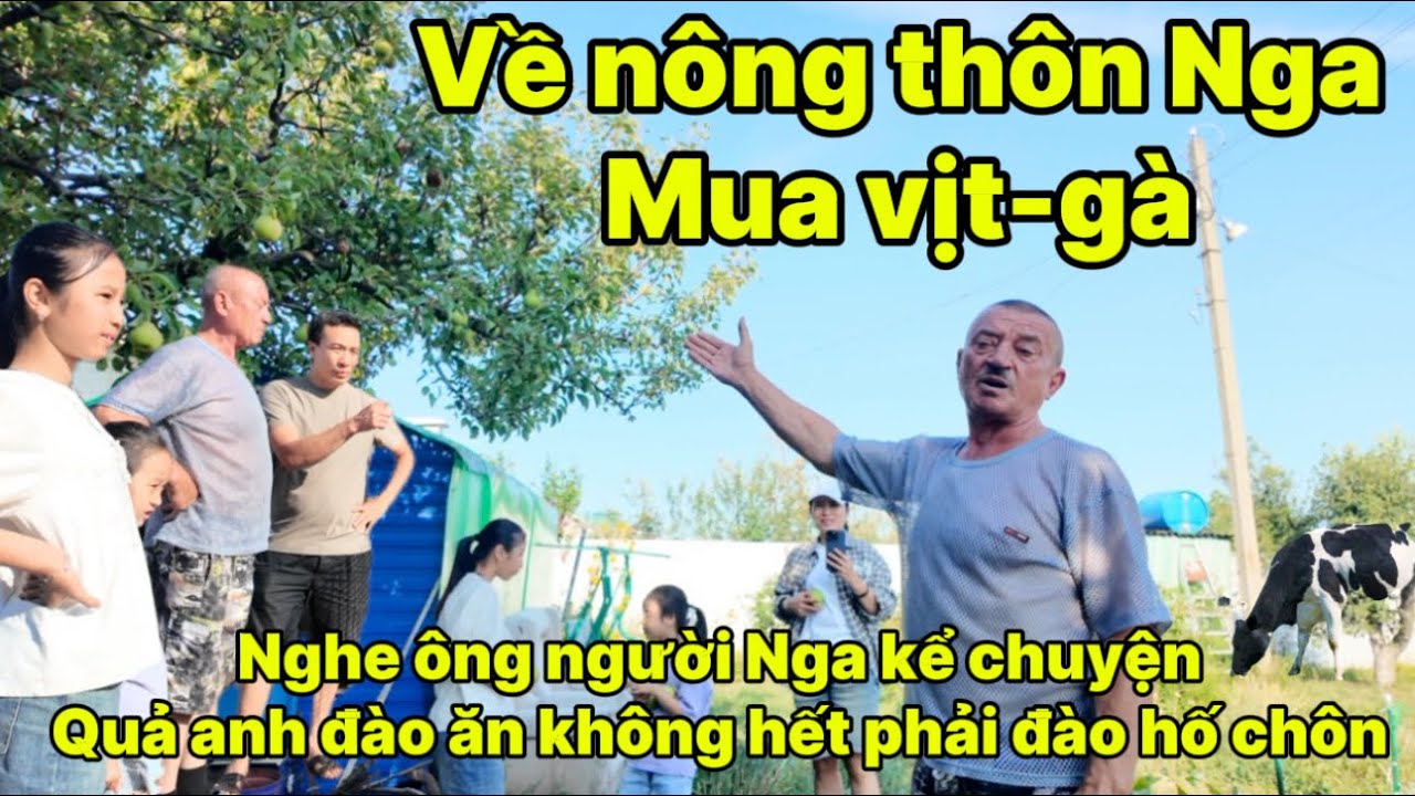Về Quê Nga Mua Gà, Ngan – Ông Chủ Nhà Kể Chuyện Mùa Hè Cherry, những Cánh Đồng Bạt Ngàn