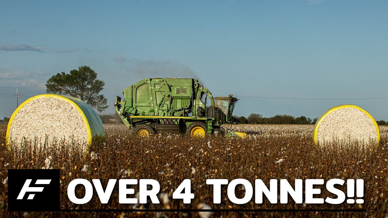 Big John Deere CS690 Cotton harvesting machine. DeSuChaco S.A. #harvest