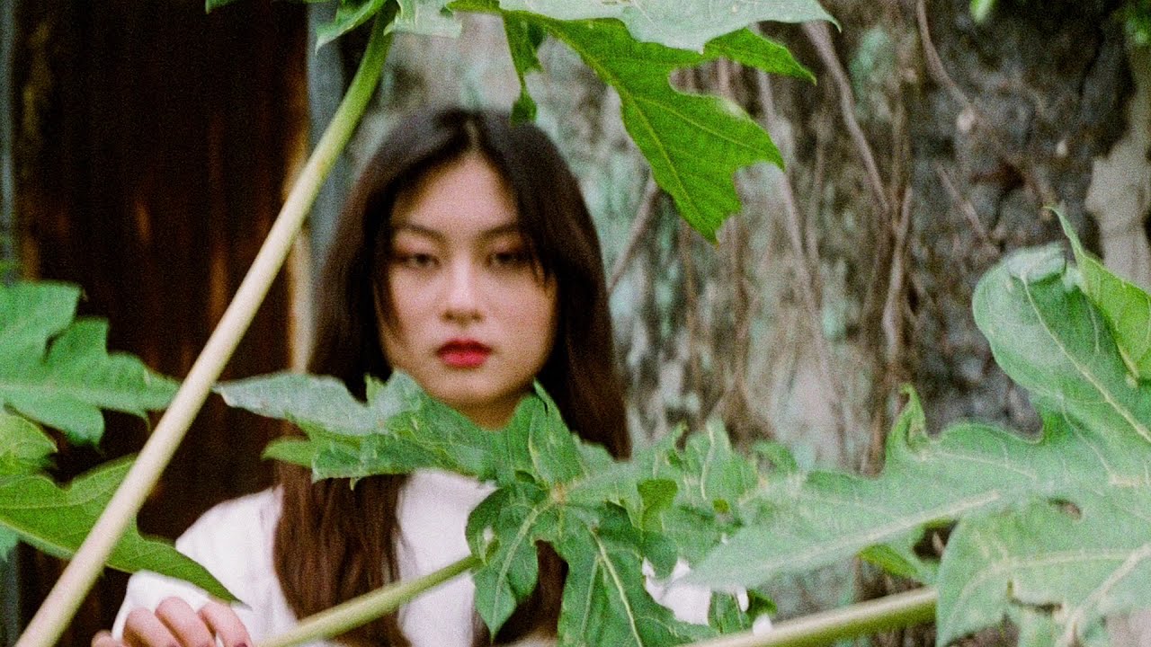 Film portrait fujifilm superia 200 (exp2011)