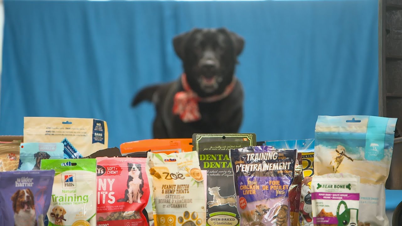 L'épicerie | Comment choisir des gâteries pour chien