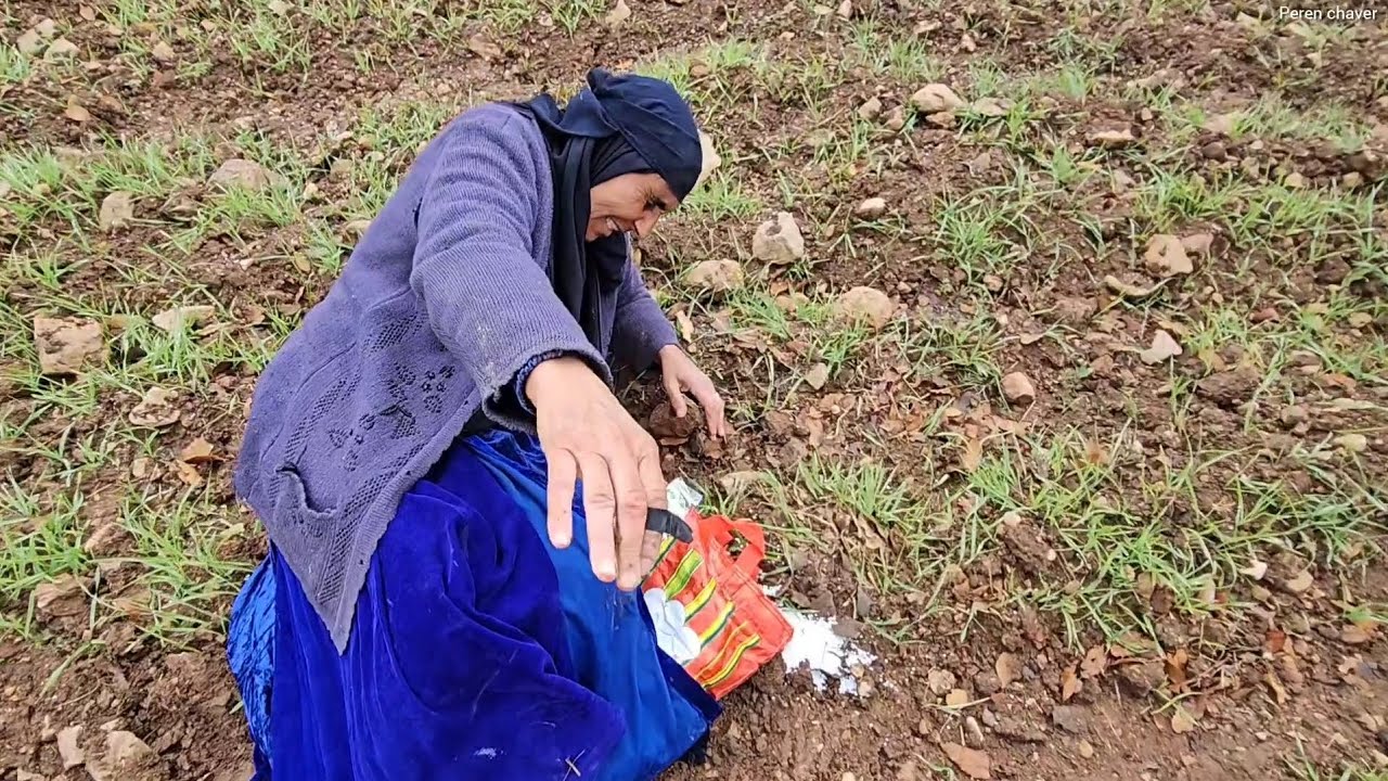 Life in War: Grandma and the Sadness of Being Away from Her Son