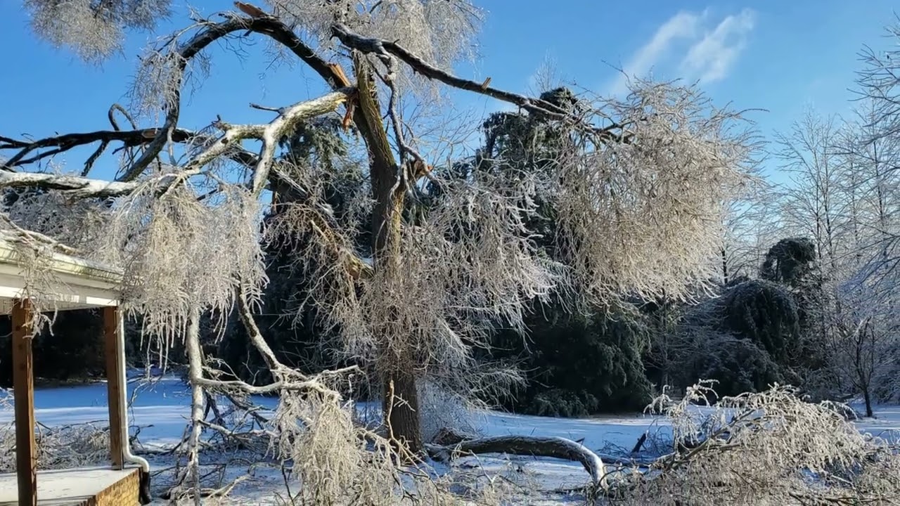 tree clean up after ice storm 2026