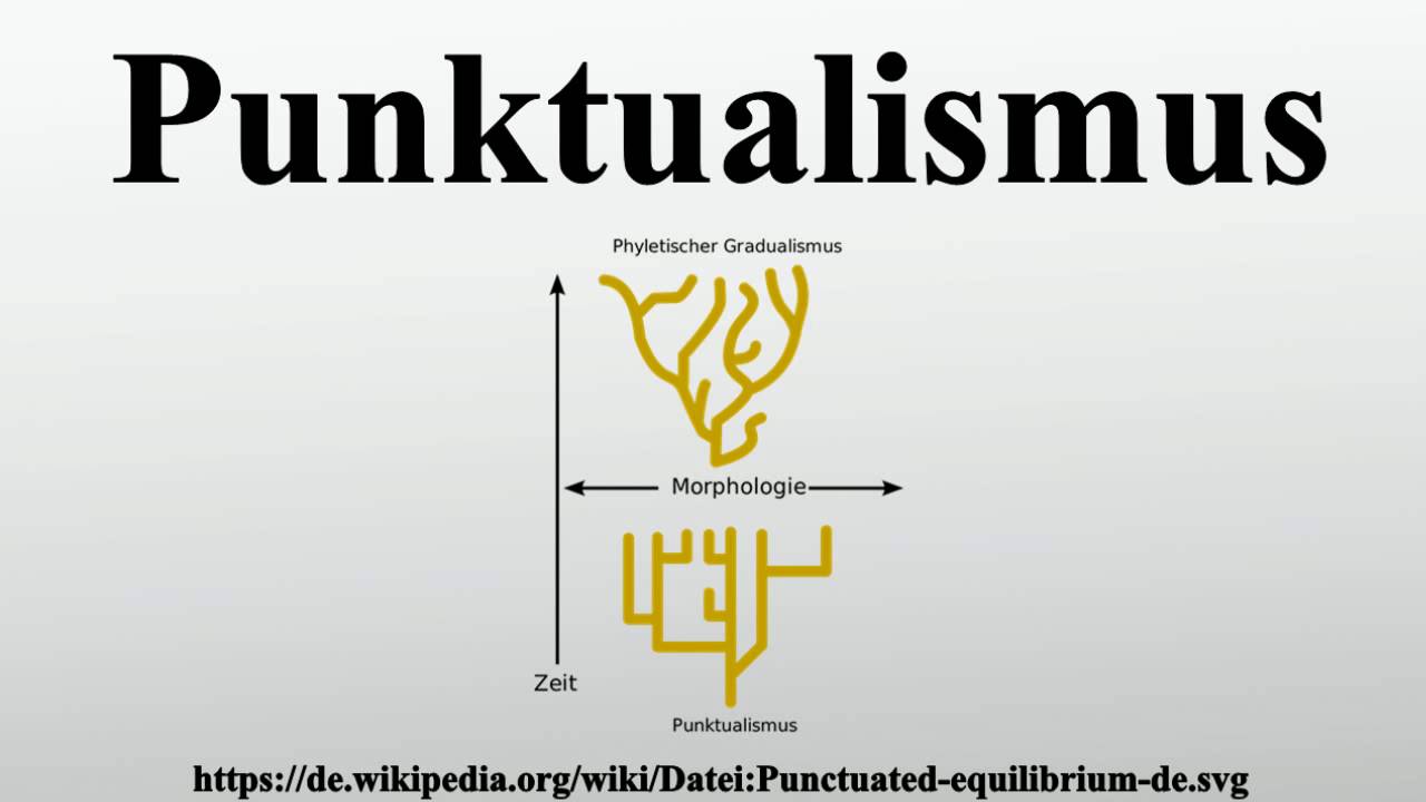 Punktualismus