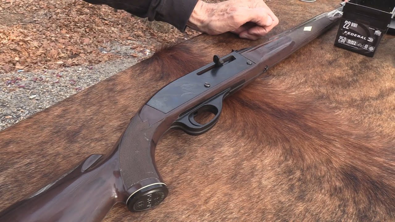 Ремингтон Нейлон 66 .22 LR