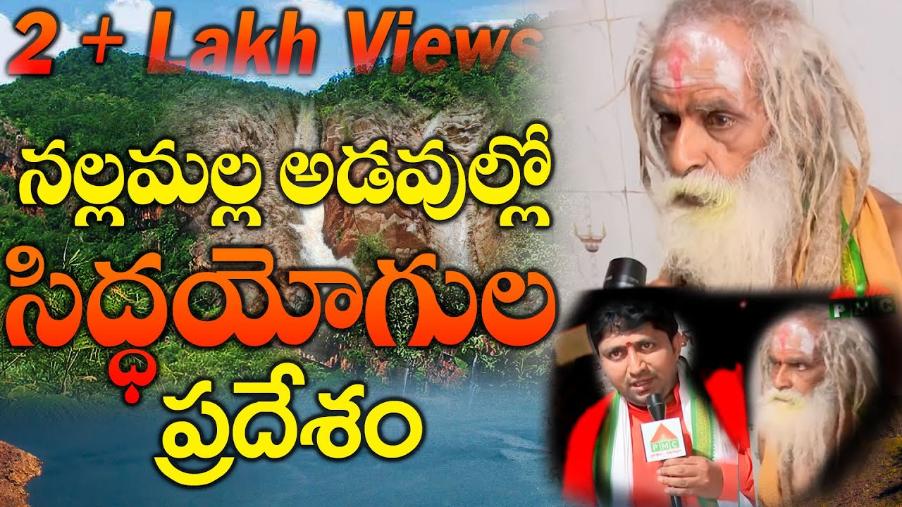 నల్లమల అడవి రహస్యాలు | Ghutika Siddheswaram | Kasi Nayana | RaviSastry | PMC Telugu