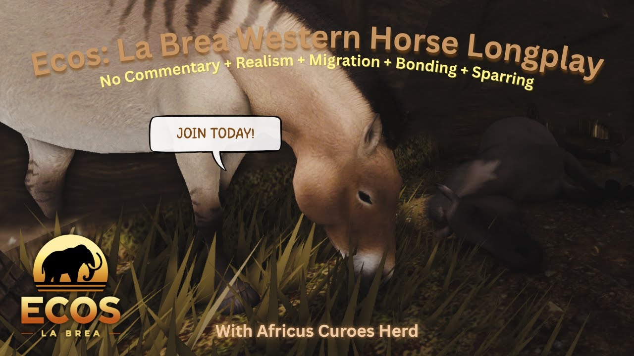 Western Horse Realism Long-play Documentary w/ ACH! || Ecos: La Brea ||