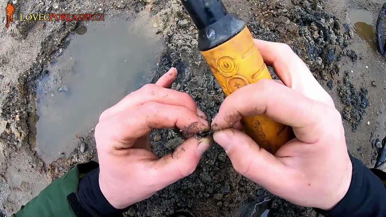 Manticore na zlaté pláži