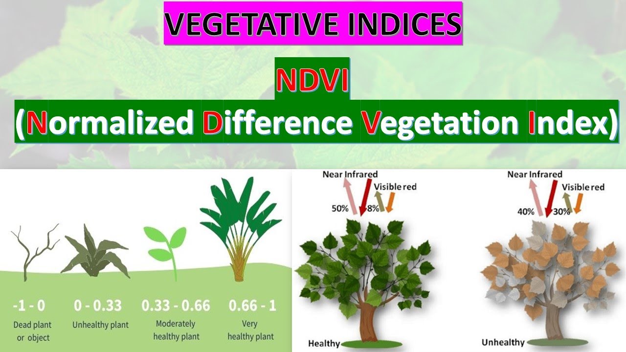 NDVI - NORMALIZED DIFFERENCE VEGETATION INDEX | GATE GEOMATICS ENGINEERING | #ndvi #gate #soil