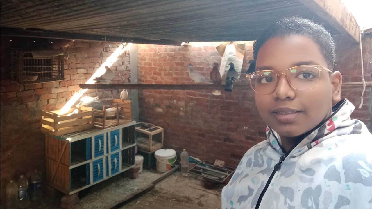 اشترينا خشب كثير قوي قوي قوي قوي للحمام 😱😱و اشترينا كمان عروق كثير علشان نعمل 10 عيون للحمام😱🕊️