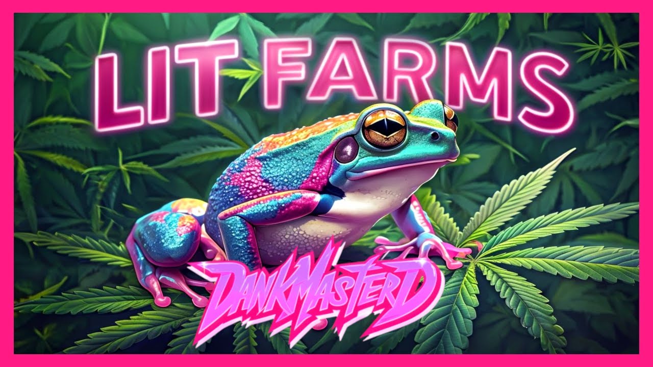 🔥 Обзор Lit Farms THCA | Pink Runtz (Supreme) и Blue Runtz (Preferred) 🌸🔵💨
