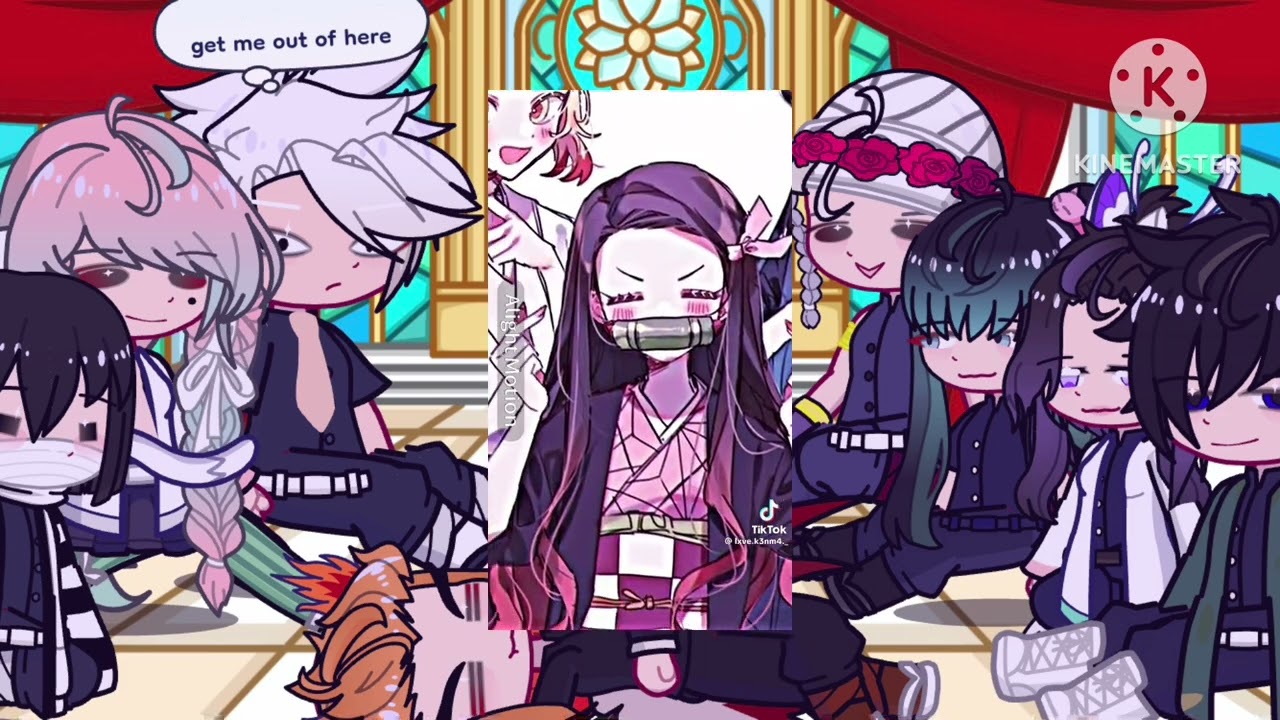 Hashiras ￼react to nezuko kamado and ships