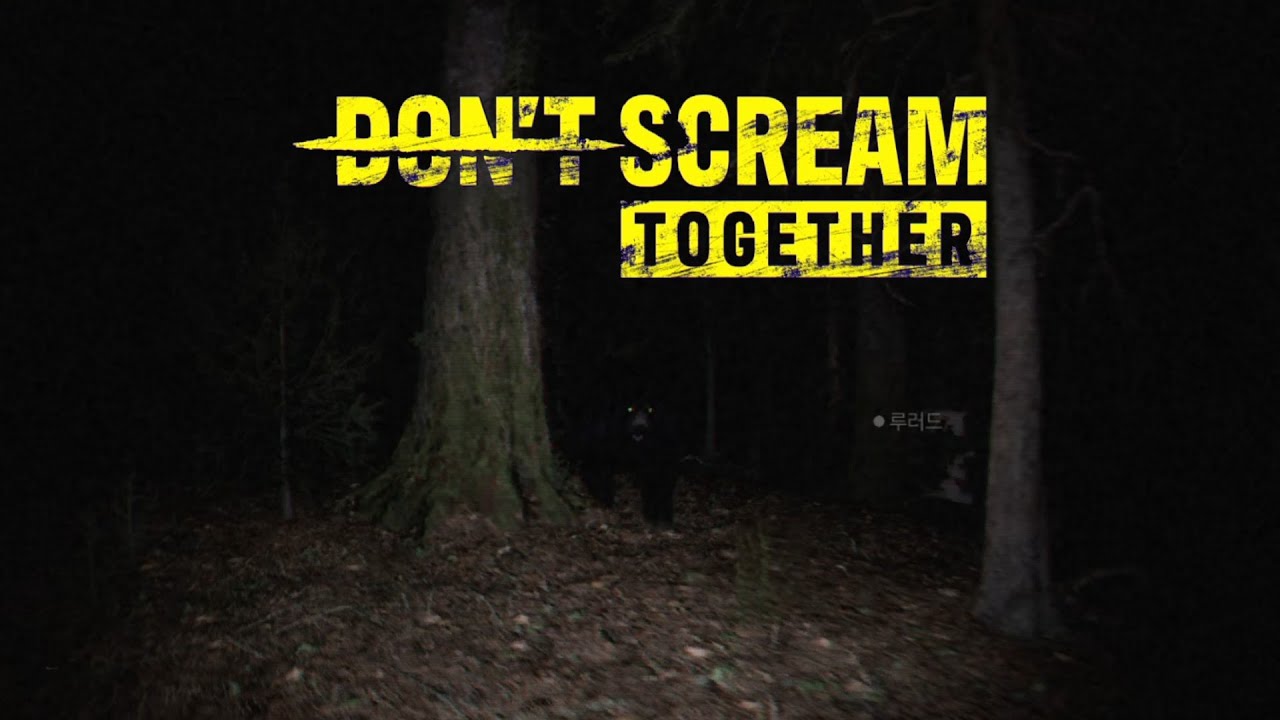 갑툭튀는 모르겠고 곰이 제일 무서움 - 돈스크림 투게더 (DON'T SCREAM TOGETHER)