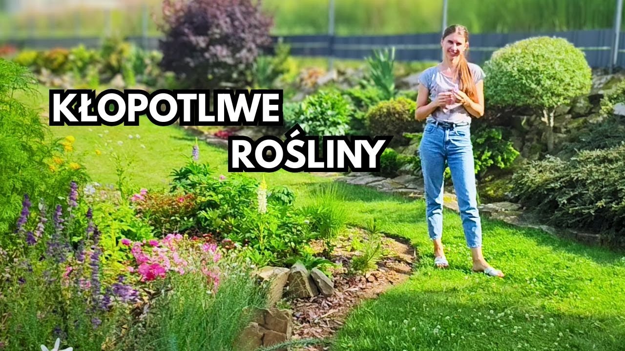 Zastanów się zanim posadzisz | Spacer | Co kwitnie na przełomie lipca i sierpnia