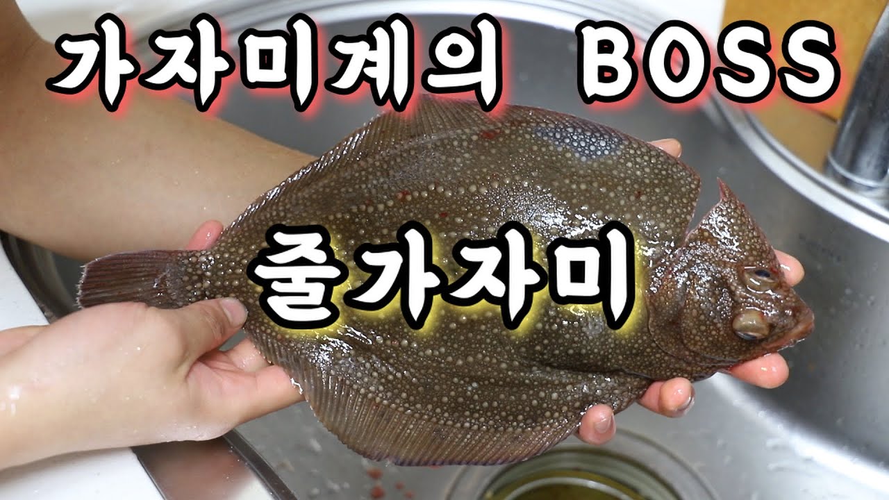 치명적인 맛! 횟감의 끝판왕 줄가자미(이시가리) 손질, 회뜨기, 시식!