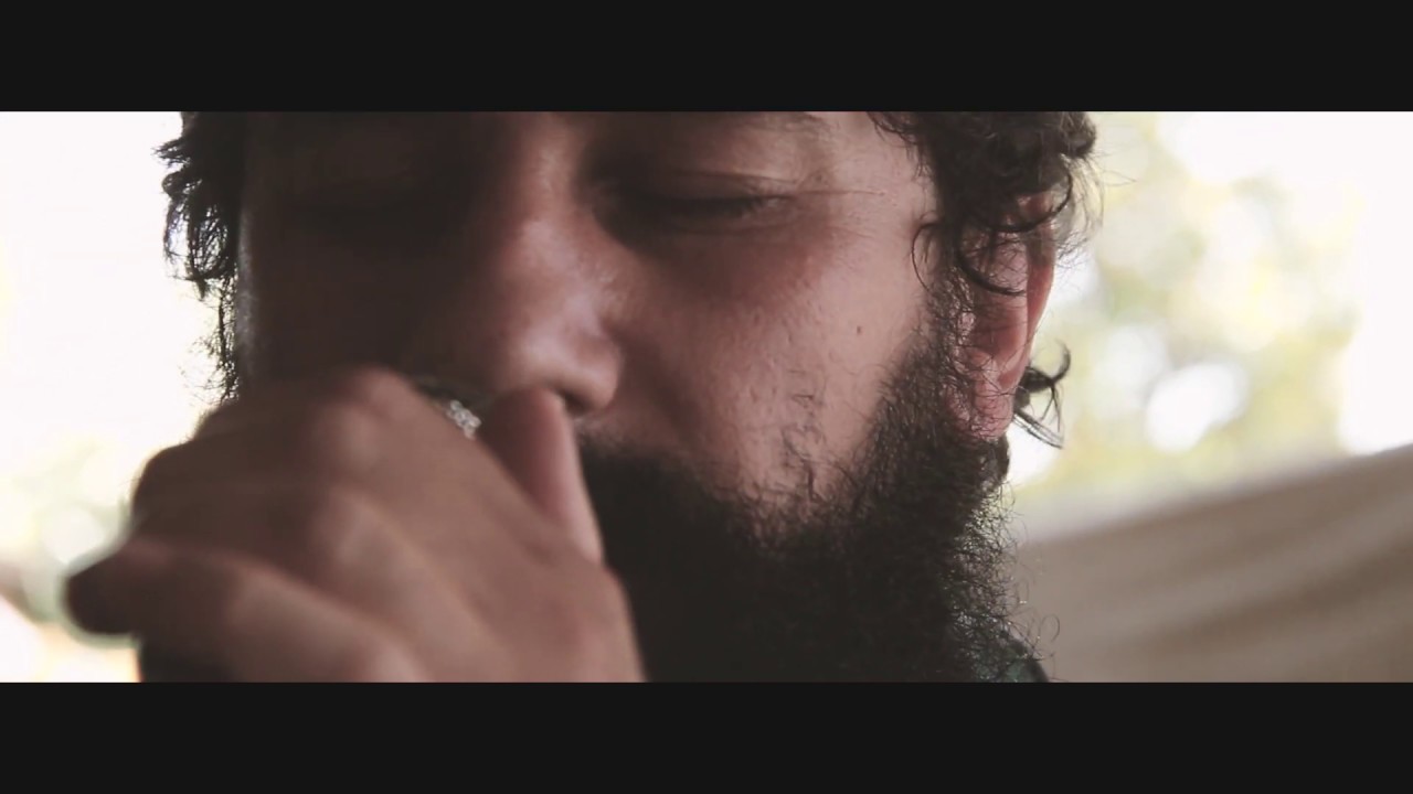 DRAGO - Le Rondini (Dalla Cover)