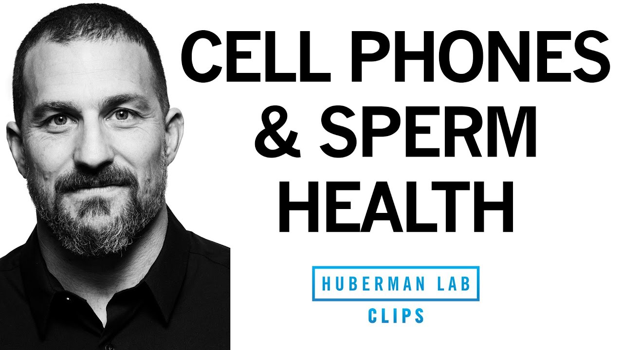 Cell Phones & EMFs Reduce Sperm Health & Testosterone | Dr. Andrew Huberman