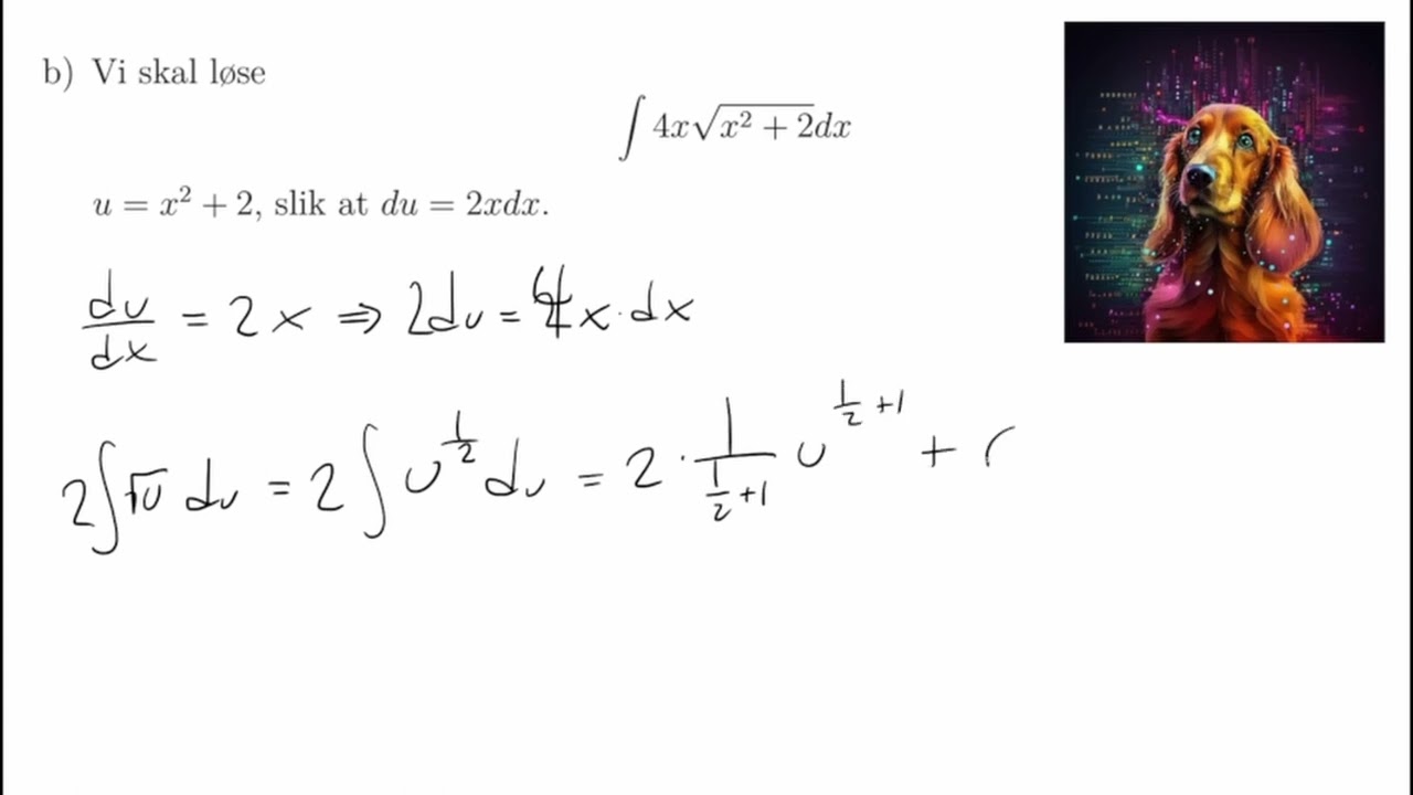 R2 Eksamen Vår 2023 Del 1 (Eksempeloppgave)