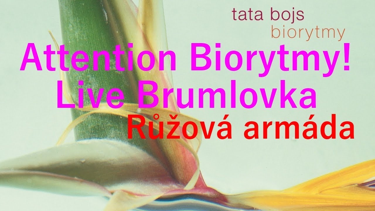 Tata Bojs - Růžov&aacute; arm&aacute;da (Attention Biorytmy! Live Brumlovka 14. 11. 2002 - ofici&aacute;ln&iacute; video)