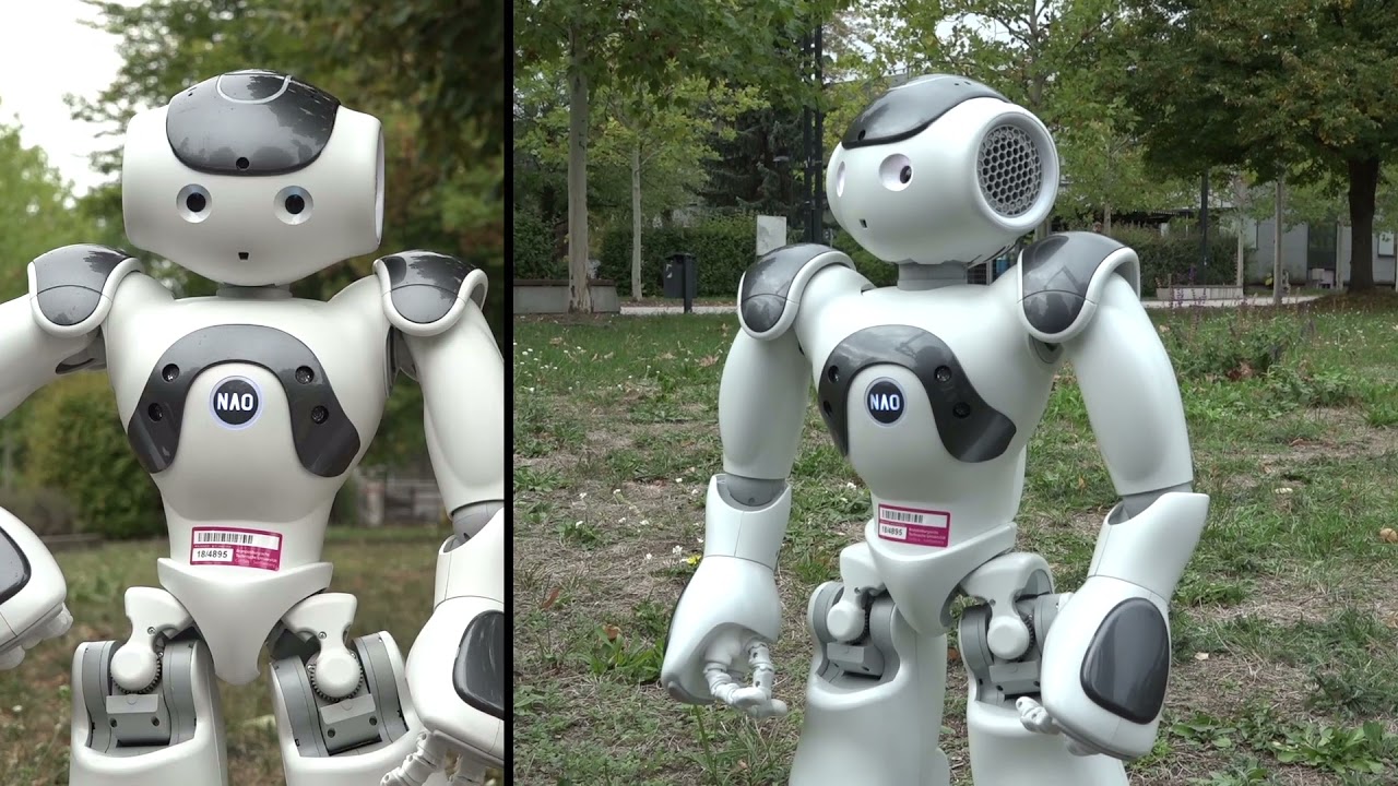 NAO - ein humanoider Roboter