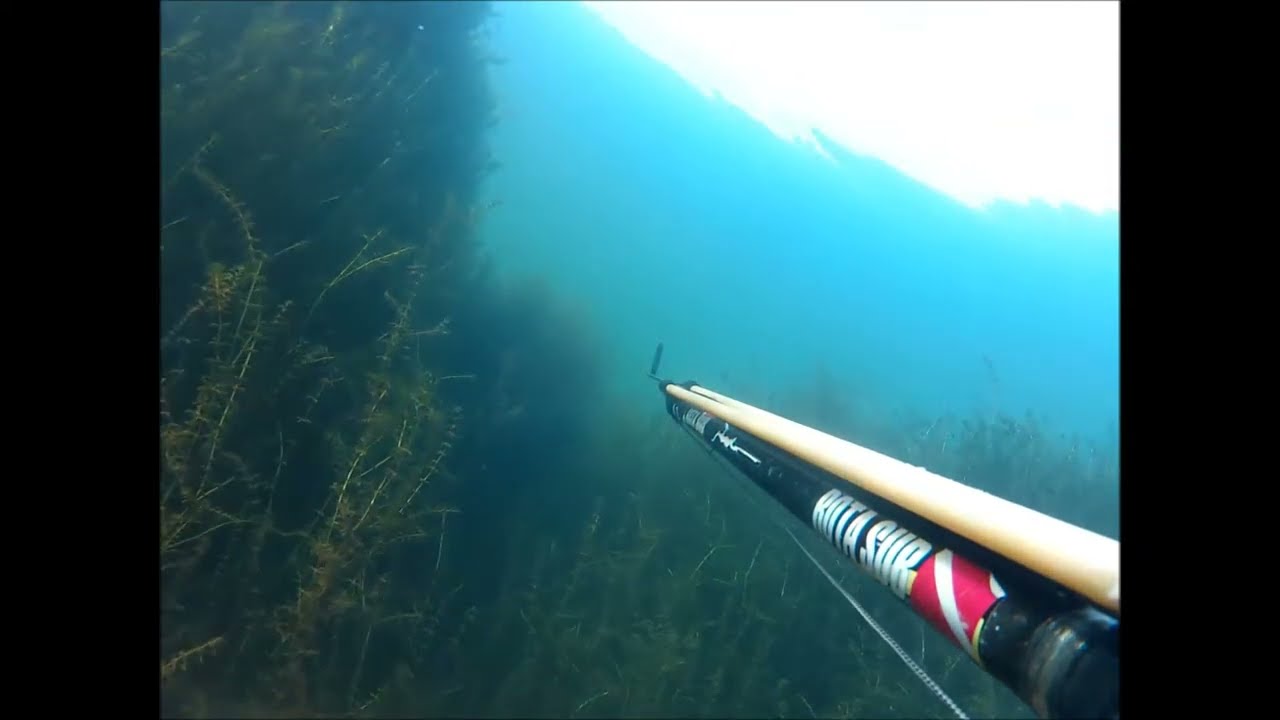 PESCA DE TUCINAR&Eacute; AZUL - PESCA SUB