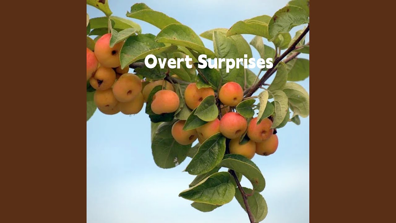 Overt Surprises