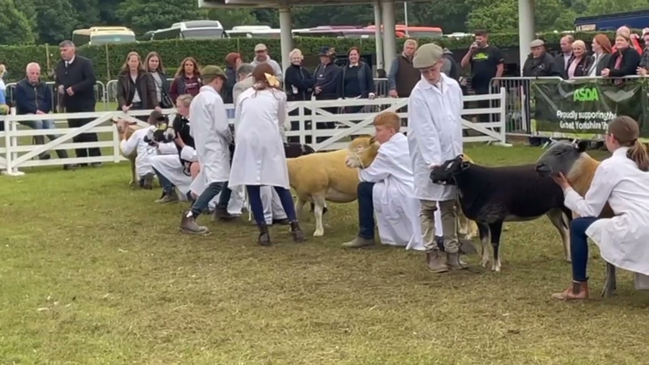 Great Yorkshire Show Video Diary (Day Three) Cannon Hall Farm
