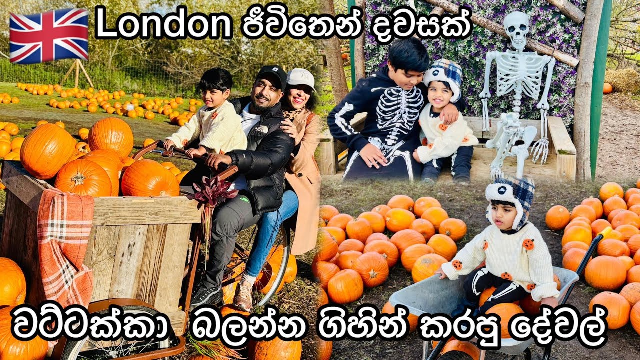 Pumpkin Patch යමුද? | UK Sinhala | Fall Vlog | Sri Lankan