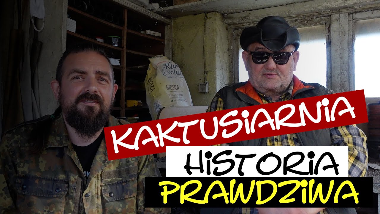 🌵🌵🌵Kaktusiarnia w Rumi - historia prawdziwa🌵🌵🌵