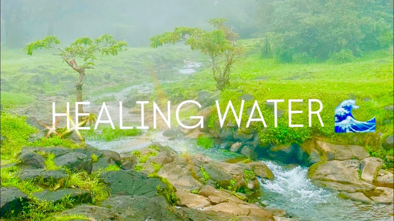 Relaxing Water Sounds | Healing Nature Ambience for Sleep & Stress Relief | 1 hour