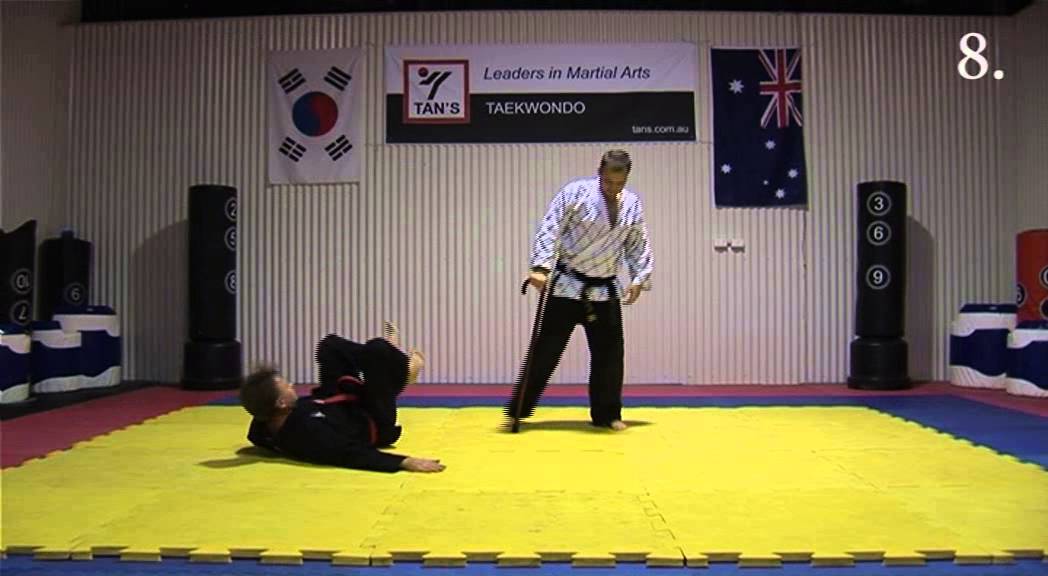 Tans Hapkido - W12 Walking cane against punch 1