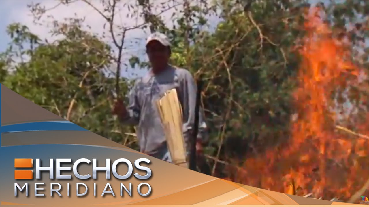 Técnica de quema agrícola es peligrosa | La historia de hoy