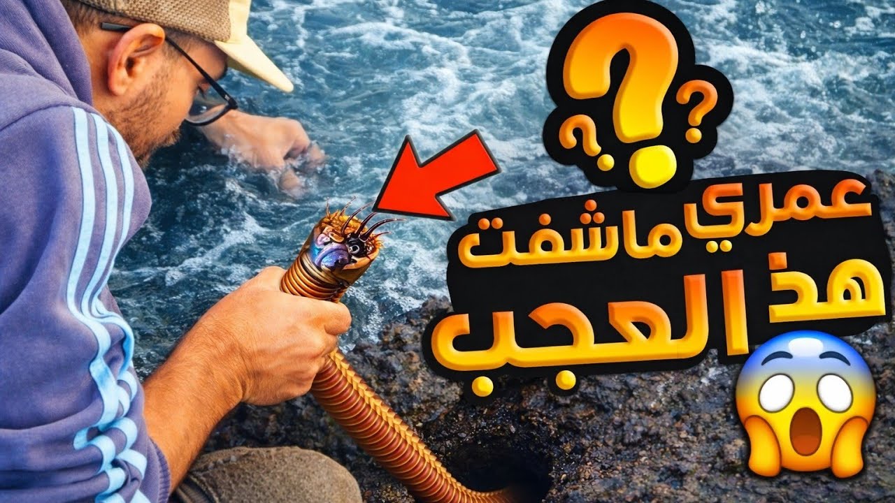 أشياء لأول مرة أشوفها ! في حياتي في هذا البحر المهجور سبحان الله ؟؟!