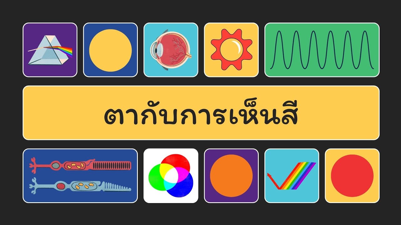 ส่งงานคูร วิทยาศาสตร์