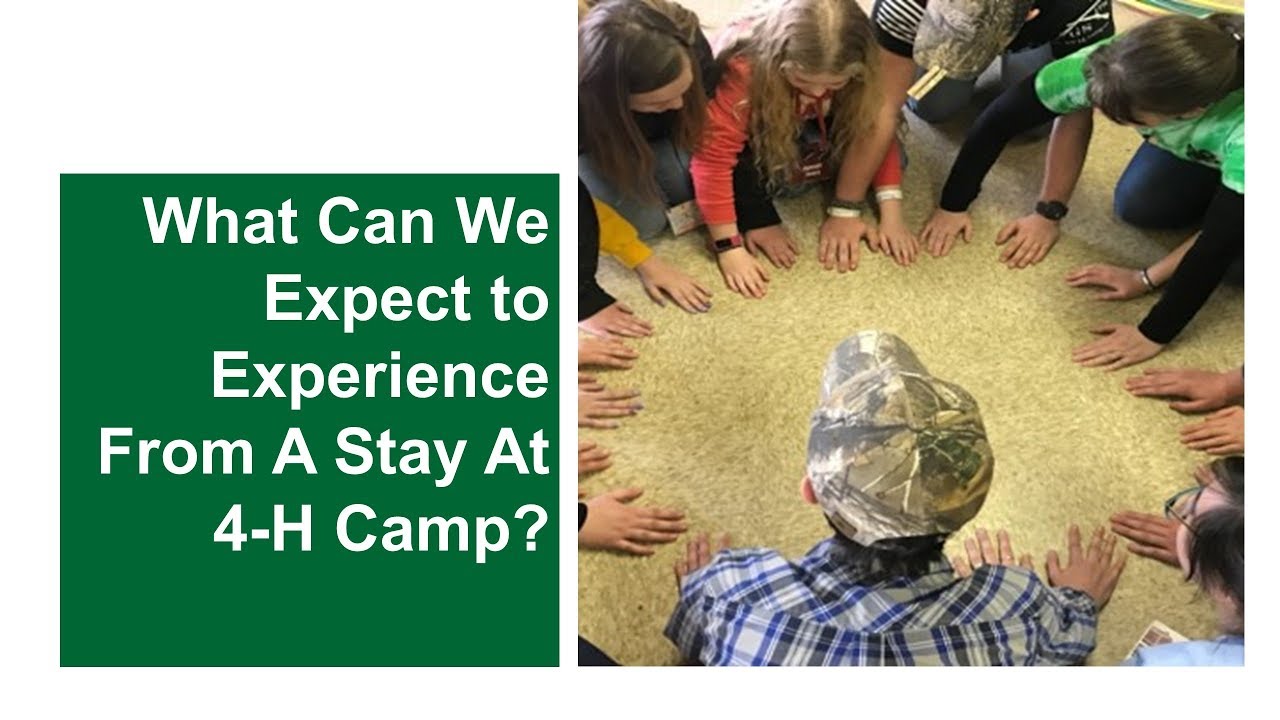 What Can We Expect to Experience from a Stay at 4-H Camp?