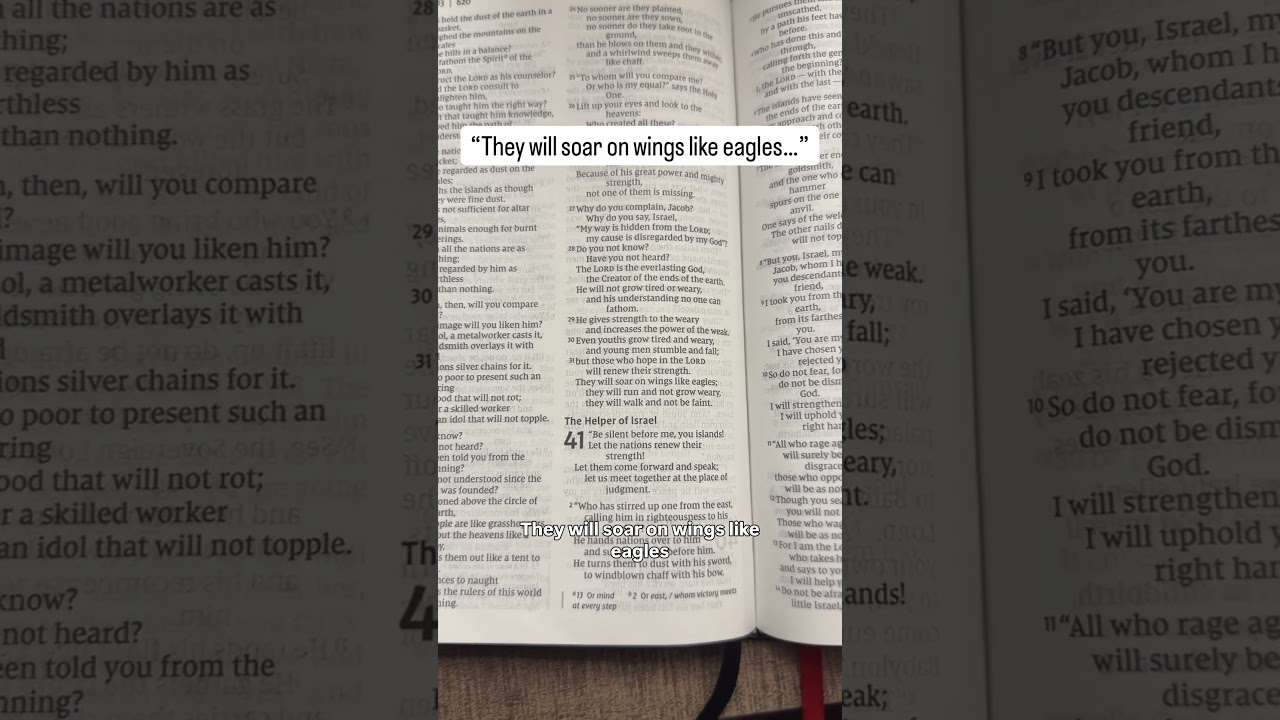 God&rsquo;s message for you today Isaiah 40: 31 (short)