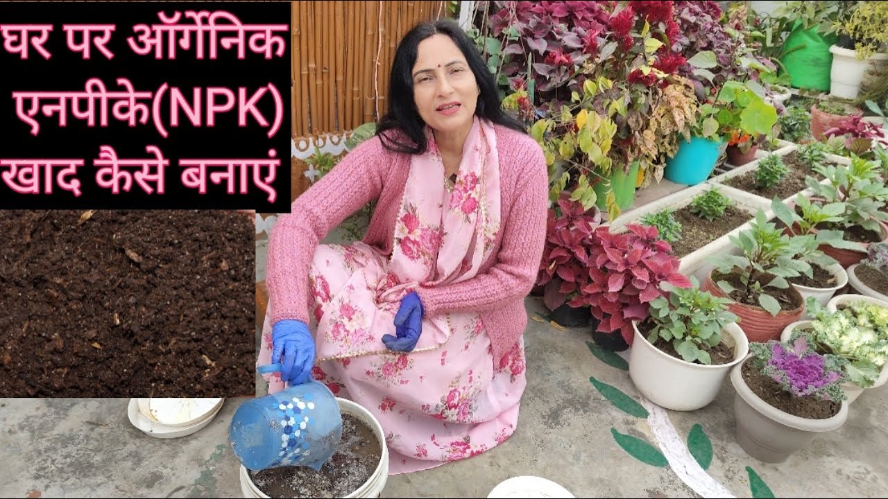 घर पर ऑर्गेनिक एनपीके (NPK) कैसे बनाएं | Rashmi's World - Create to Decorate