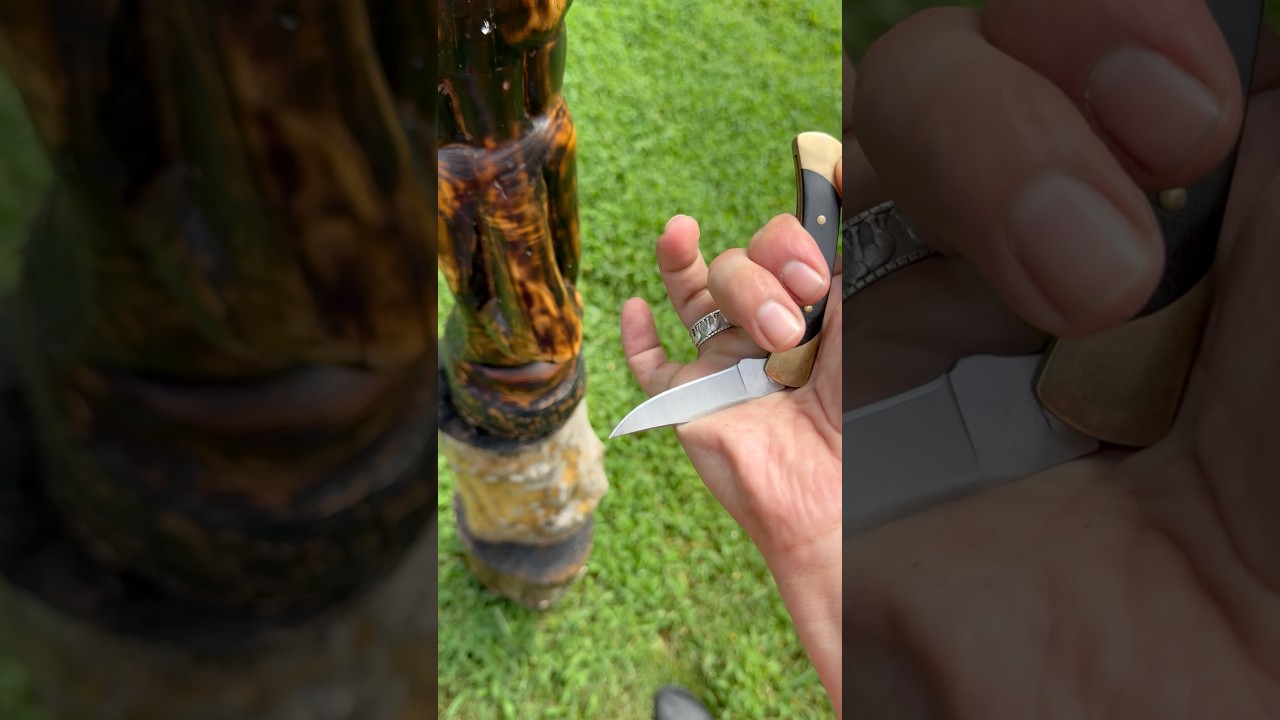 Buck 55 Broke In Nicely | Remember My Middle Finger Rule? | Its Also One Hand Opening Now #edc #zen