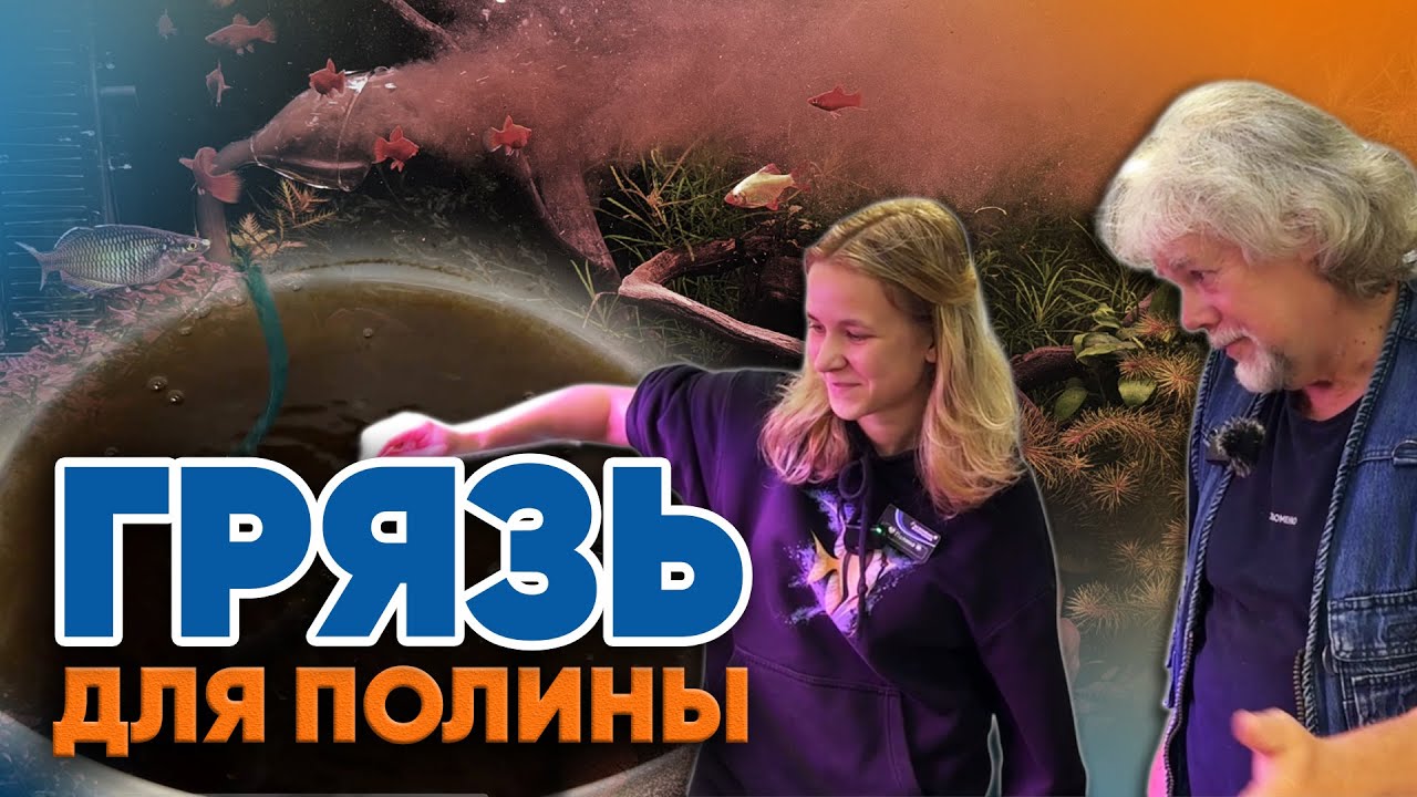 Аквариумные истории из ЭКЗОМЕНЮ (17.10.2025). Грязь для Полины.